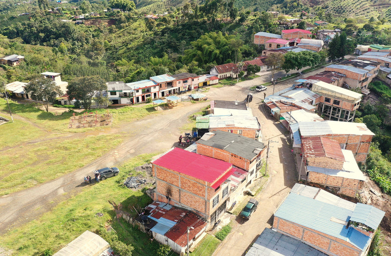 COLOMBIA ORGANIC HUILA ISNOS - 38675-1 - 69.9 kg GrainPro Bags - SPOT COSEATAC