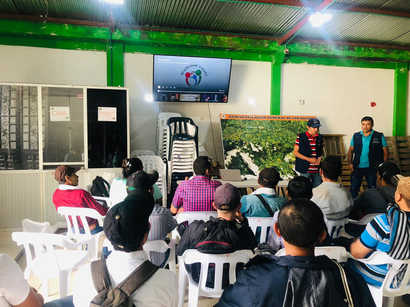 COLOMBIA FT-USA ORGANIC TOLIMA MULTICOOP - 32654 - 70.1 kg GrainPro Bags - SPOT RCWHSE