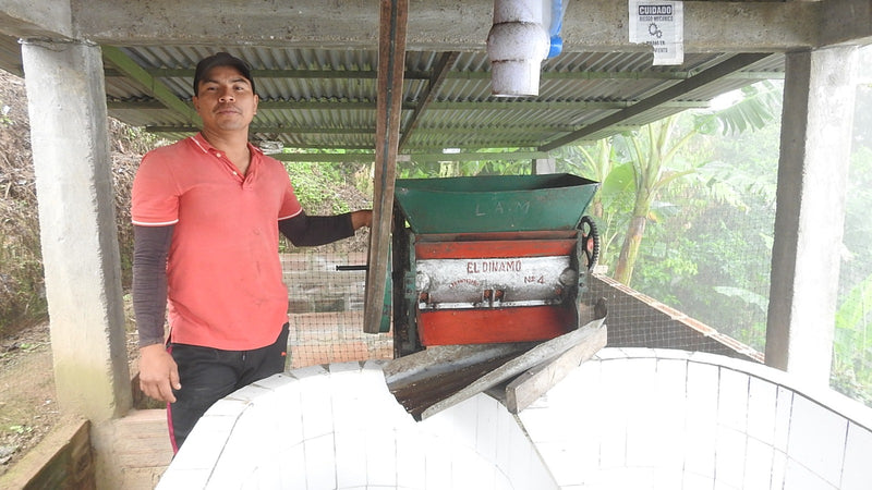 COLOMBIA FT-USA ORGANIC TOLIMA MULTICOOP - 39548 - 69.9 kg GrainPro Bags - SPOT RCWHSE