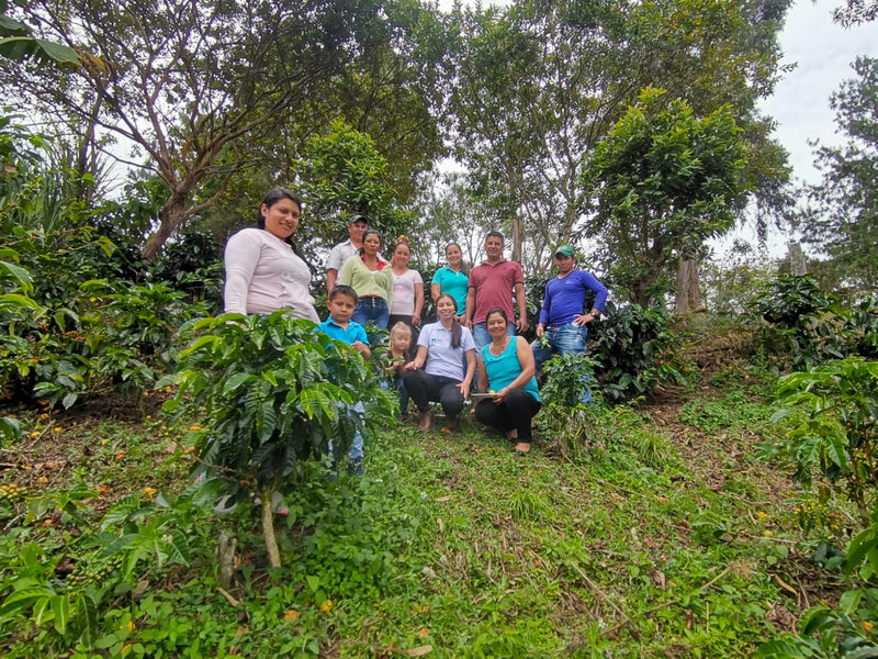 COLOMBIA ORGANIC HUILA TERRA ROSA WOMEN'S COFFEE - 33502 - 69.9 kg GrainPro Bags - SPOT RCWHSE