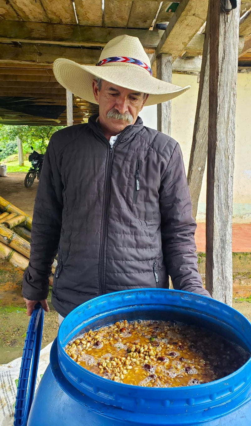 COLOMBIA ORGANIC HUILA TERRA VERDE - 38543 - 69.8 kg GrainPro Bags - SPOT RCWHSE