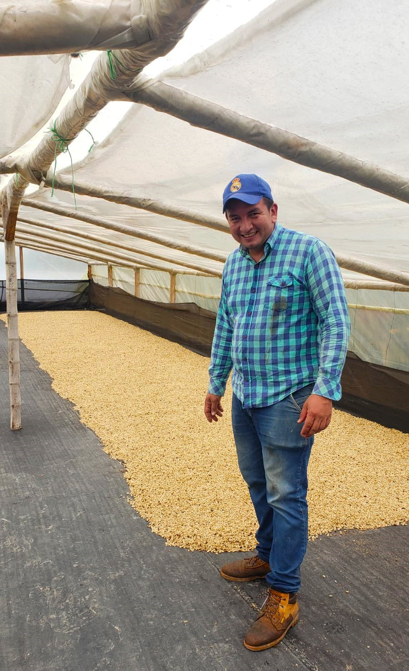 COLOMBIA ORGANIC HUILA TERRA VERDE - 34592 - 70.1 kg GrainPro Bags - SPOT RCWHSE