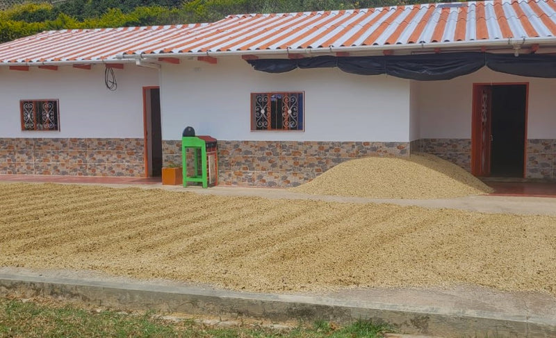 COLOMBIA ORGANIC NARINO ZONA CENTRAL - 32420 - 70.0 kg GrainPro Bags - SPOT RCWHSE