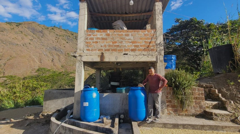 COLOMBIA ORGANIC NARINO ZONA CENTRAL - 32420 - 70.0 kg GrainPro Bags - SPOT RCWHSE