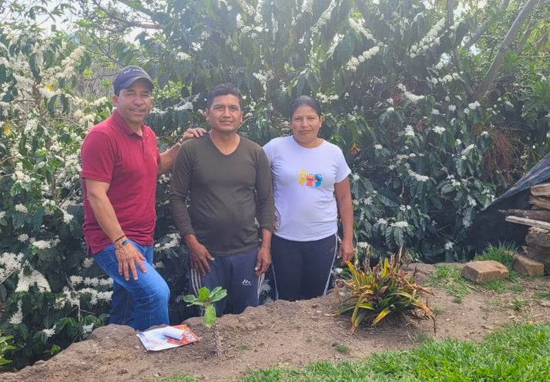 COLOMBIA ORGANIC NARINO ZONA CENTRAL - 32420 - 70.0 kg GrainPro Bags - SPOT RCWHSE
