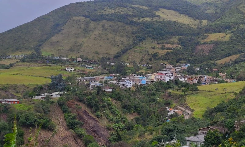 COLOMBIA ORGANIC NARINO ZONA CENTRAL - 32420 - 70.0 kg GrainPro Bags - SPOT RCWHSE