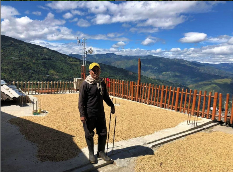 COLOMBIA ORGANIC NARINO ECOTERRA - 39542 - 69.9 kg GrainPro Bags - SPOT RCWHSE