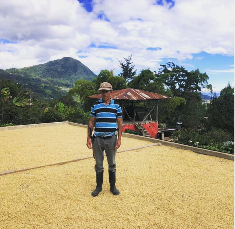 COLOMBIA ORGANIC NARINO - 32704 - 70.2 kg GrainPro Bags - SPOT RCWHSE