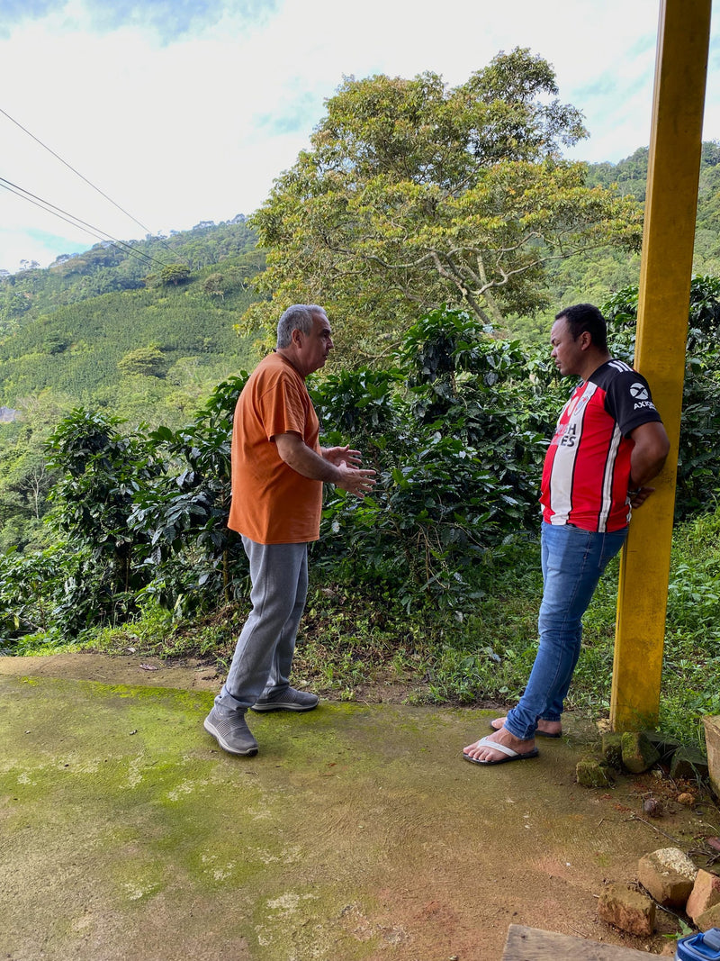 COLOMBIA ORGANIC RFA-IP SIERRA NEVADA PUERTO RICO ESTATE - 30350 - 70.1 kg Bags - SPOT RCWHSE