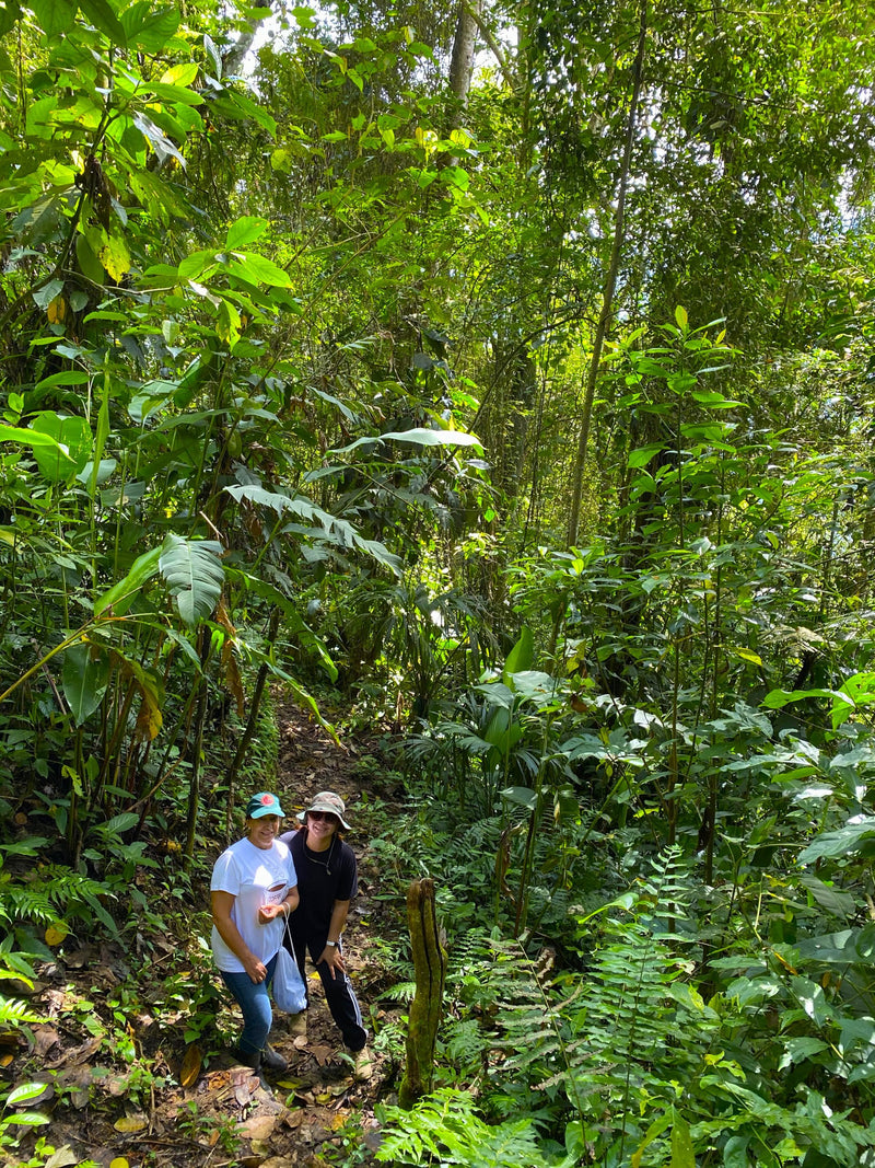 COLOMBIA ORGANIC RFA-IP SIERRA NEVADA PUERTO RICO ESTATE - 30350 - 70.1 kg Bags - SPOT RCWHSE