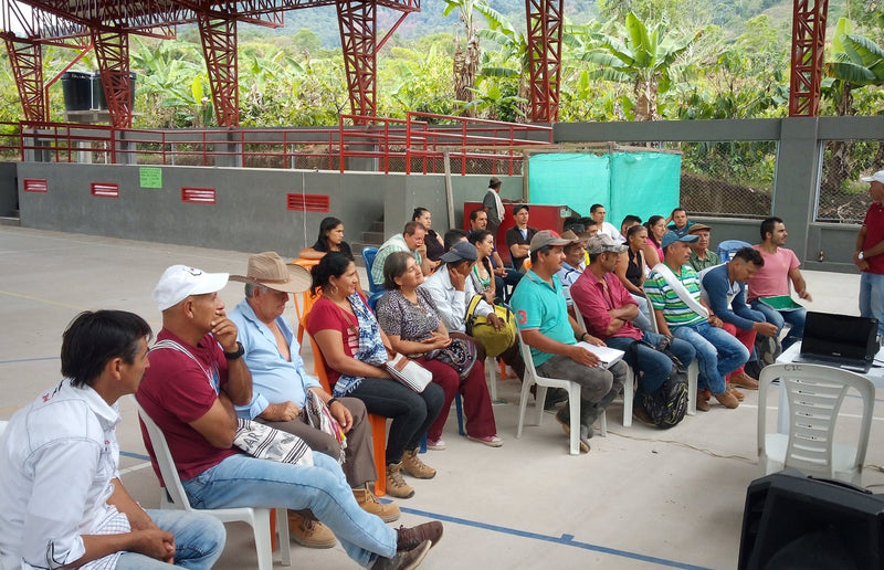 COLOMBIA ORGANIC TOLIMA ASOAGROTOL GALILEA - 29586 - 70.0 kg GrainPro Bags - SPOT RCWHSE