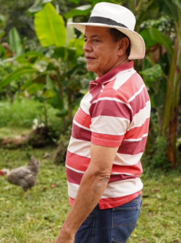 COLOMBIA ORGANIC TOLIMA VOLCANO - 37391 - 70.0 kg Bags - SPOT RCWHSE