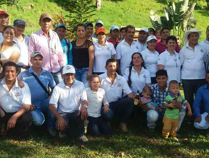 COLOMBIA ORGANIC TOLIMA VOLCANO - 37392 - 70.0 kg GrainPro Bags - SPOT RCWHSE