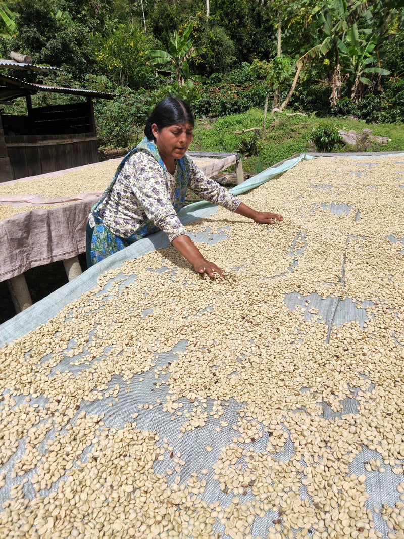 ROYAL GEM BOLIVIA FT-FLO ORGANIC COOP AGROPECUARIA BIO ARABICA 50 Lb - *52253* - 27041-3 - SPOT RCWHSE