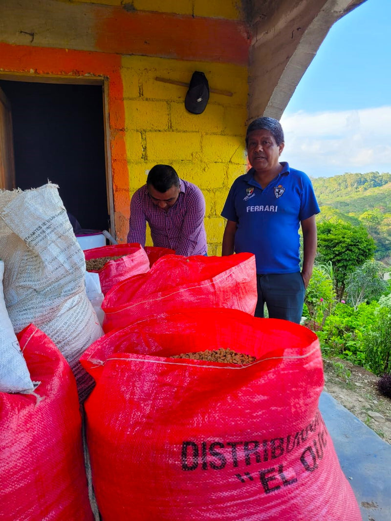 MEXICO FT-FLO ORGANIC ALMA DE CHIAPAS SHG EP - 33825 - GrainPro Bags - SPOT RCWHSE