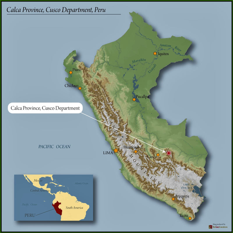 PERU ORGANIC CUZCO YANATILE - 29605 - Ecotact Bags - SPOT RCWHSE