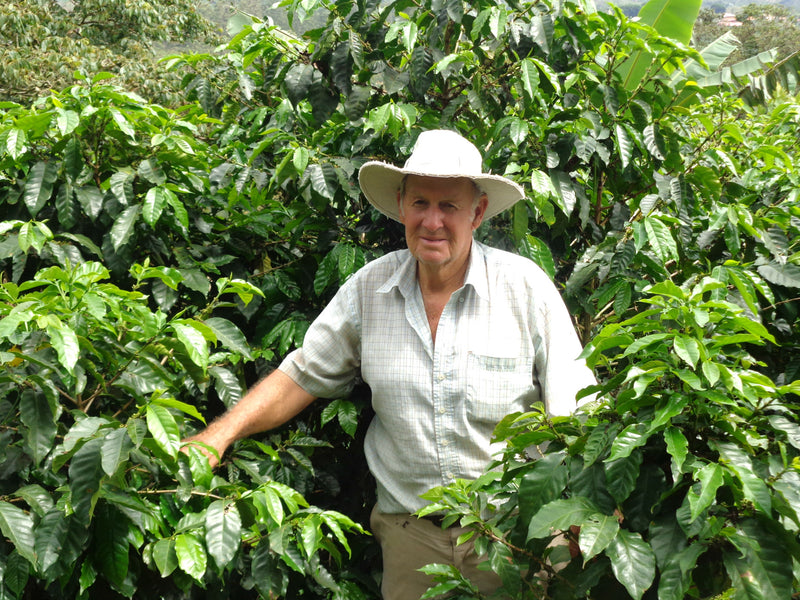 Crown Jewel Costa Rica Anaerobic Washed Carlos Fernández Morera San Rafael de San Ramón - 36180-2 - 10.0 kg Boxes - SPOT SEAFORTH