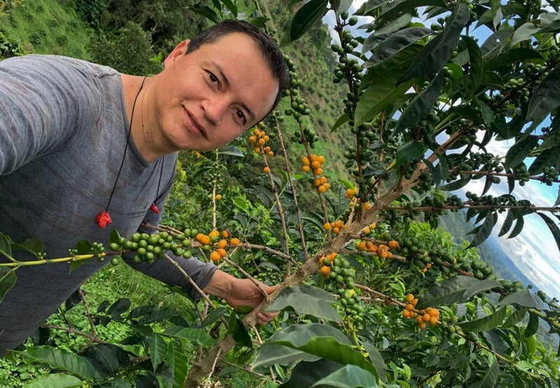Colombia Huila San Adolfo A - *51427* - 24961 - GrainPro Bags - SPOT RCWHSE