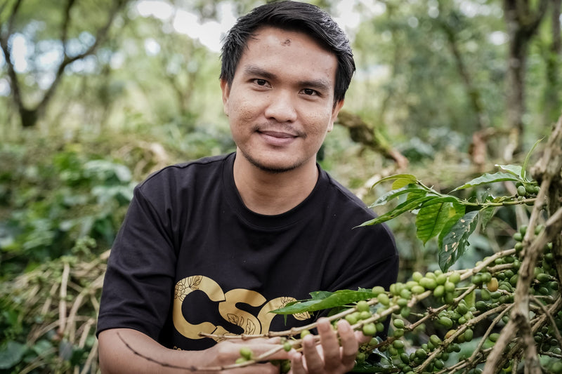 Sumatra Bener Meriah Gayo Aalamin Wet Hull Lychee Co-Ferment - 40338 - GrainPro Bags - SPOT RCWHSE