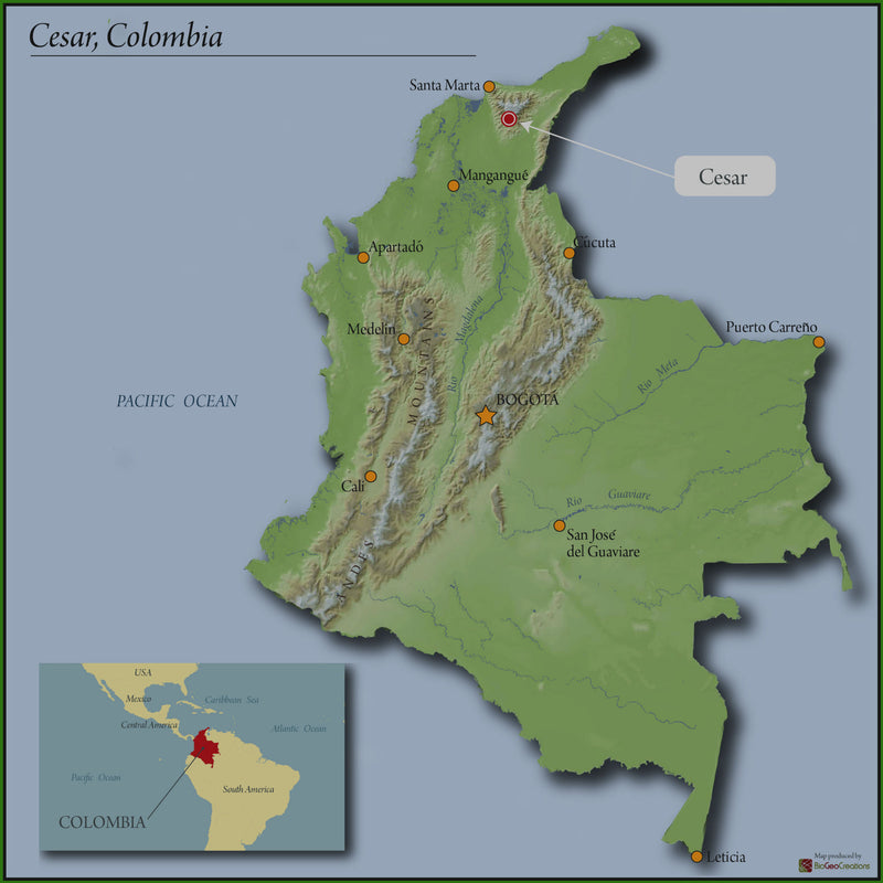 COLOMBIA ORGANIC MANAURE EL RUBI ESTATE - *50313* - 25888 - 70.0 kg GrainPro Bags - SPOT RCWHSE