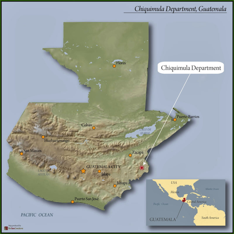 Guatemala Anacafe Catorce SHB EP - *50711* - 23907 - SPOT RCWHSE