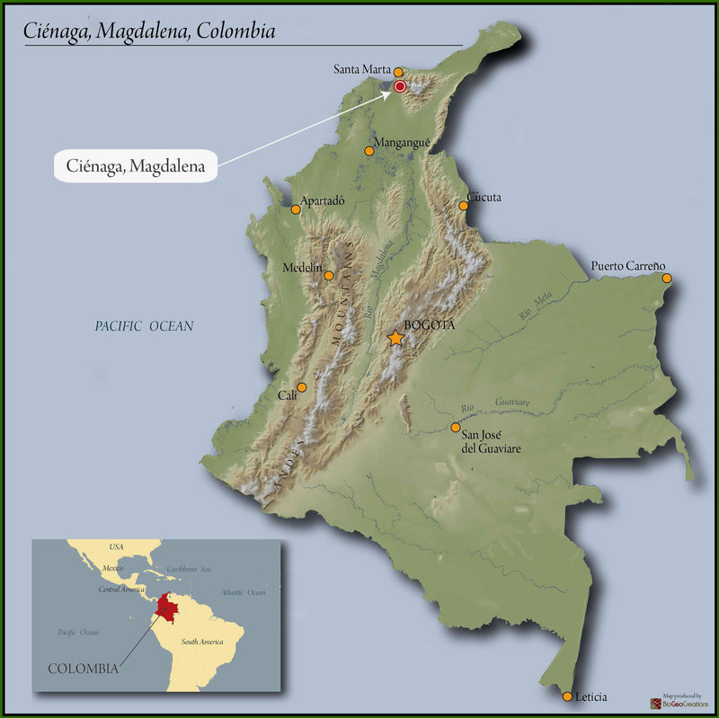 COLOMBIA ORGANIC RFA-IP SIERRA NEVADA PUERTO RICO ESTATE - 30350 - 70.1 kg Bags - SPOT RCWHSE