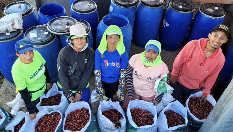 Colombia Cauca Corralejas Natural Castillo - Lot 392 - 34788-3 - 69.9 kg GrainPro Bags - SPOT COMIDWEST