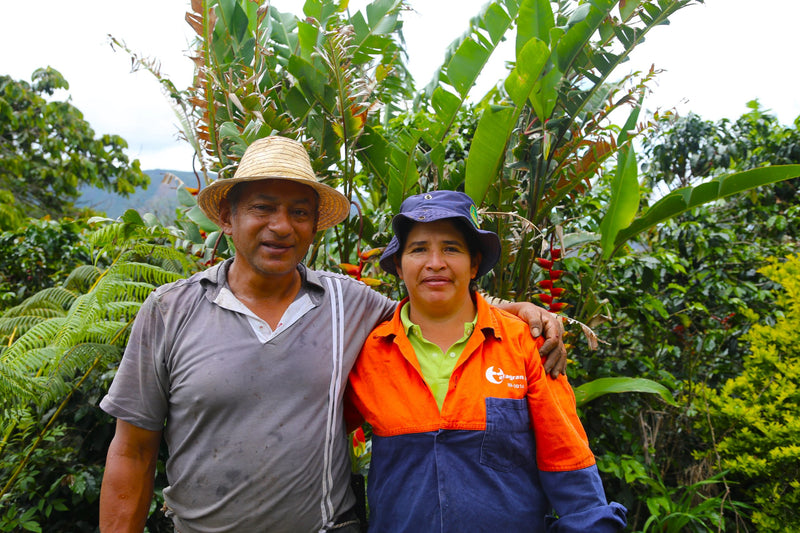 Colombia Cauca Inza Sotara - 32965 - 70.2 kg GrainPro Bags - SPOT RCWHSE