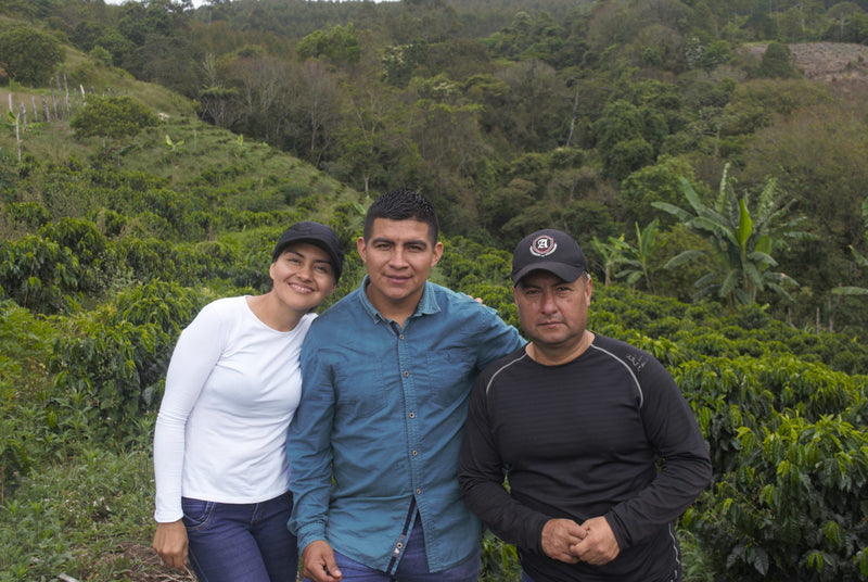 Colombia Cauca Inza Sotara - 32965 - 70.2 kg GrainPro Bags - SPOT RCWHSE