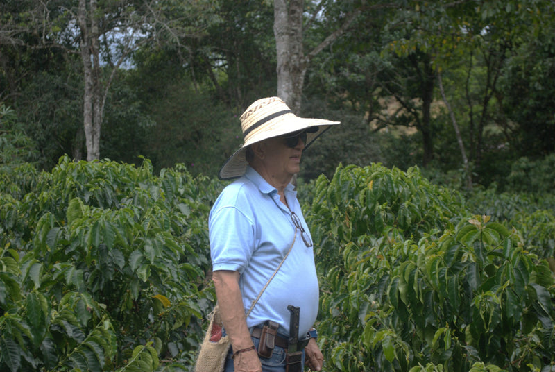 Colombia Cauca Popayan Honey Castillo - Lot 395 - 34786 - 70.1 kg GrainPro Bags - SPOT RCWHSE
