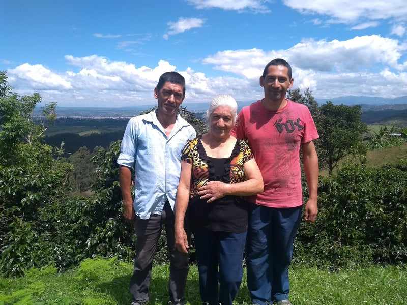 Colombia Cauca Sotara A - 29611 - 70.0 kg GrainPro Bags - SPOT RCWHSE