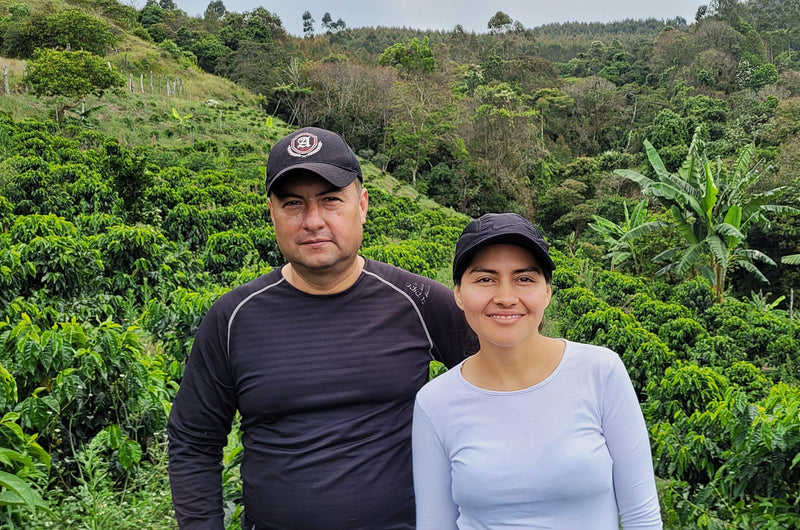 Colombia Cauca Sotara A - 29611 - 70.0 kg GrainPro Bags - SPOT RCWHSE