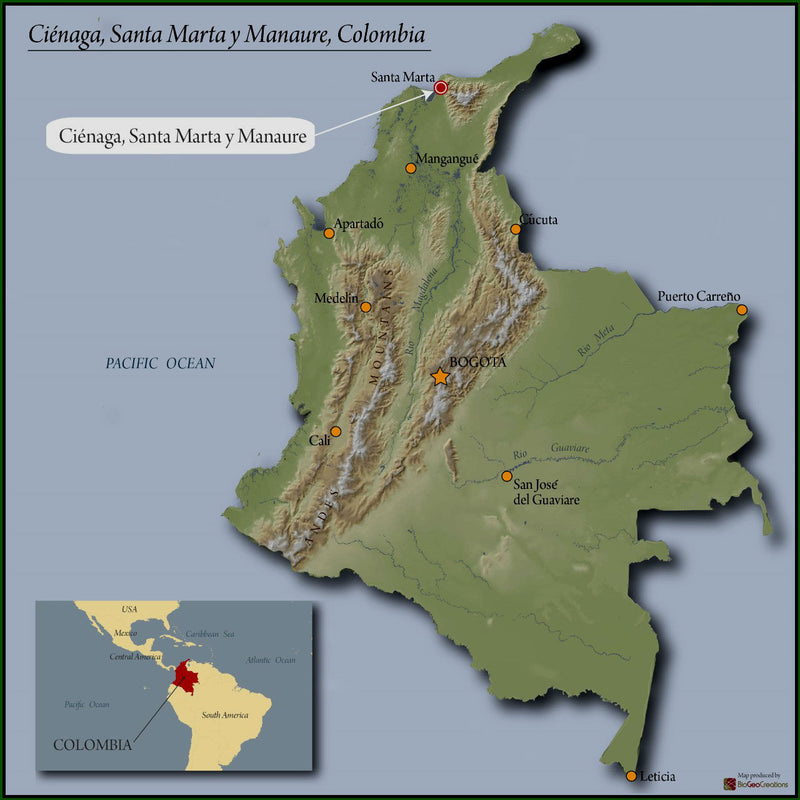 COLOMBIA FT-FLO ORGANIC SIERRA NEVADA SOL NACIENTES - *52251* - 27793-5 - 70.0 kg GrainPro Bags - SPOT COSEATAC