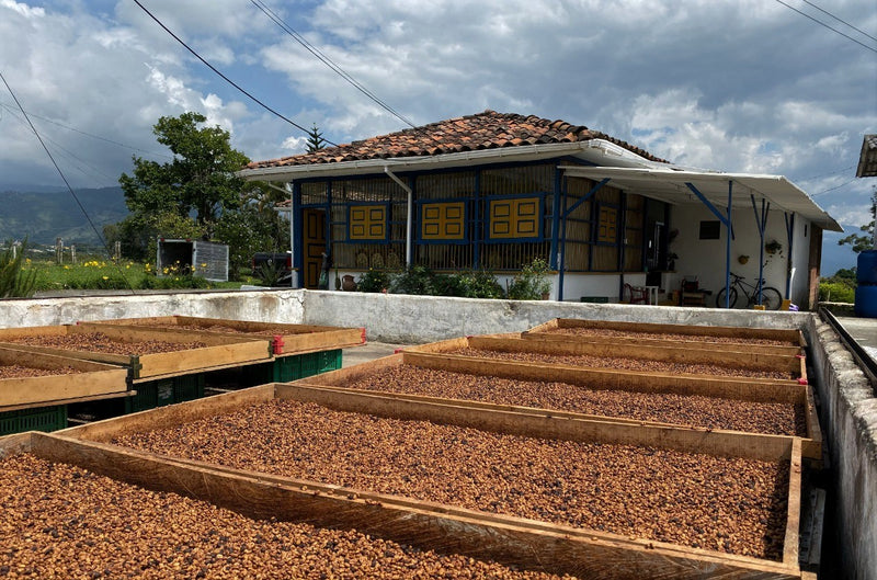 Colombia El Alquimista Red Honey Pink Bourbon - *51013* - 25034 - 34.8 kg GrainPro Bags - SPOT RCWHSE