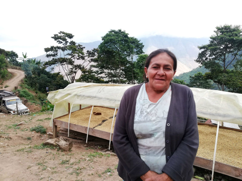 COLOMBIA FT-FLO ORGANIC SIERRA NEVADA SOL NACIENTES - *52251* - 27793-5 - 70.0 kg GrainPro Bags - SPOT COSEATAC