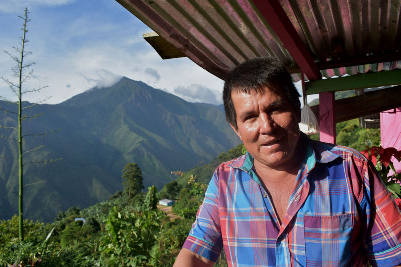 COLOMBIA FT-FLO ORGANIC SIERRA NEVADA SOL NACIENTES - *52251* - 27793-5 - 70.0 kg GrainPro Bags - SPOT COSEATAC