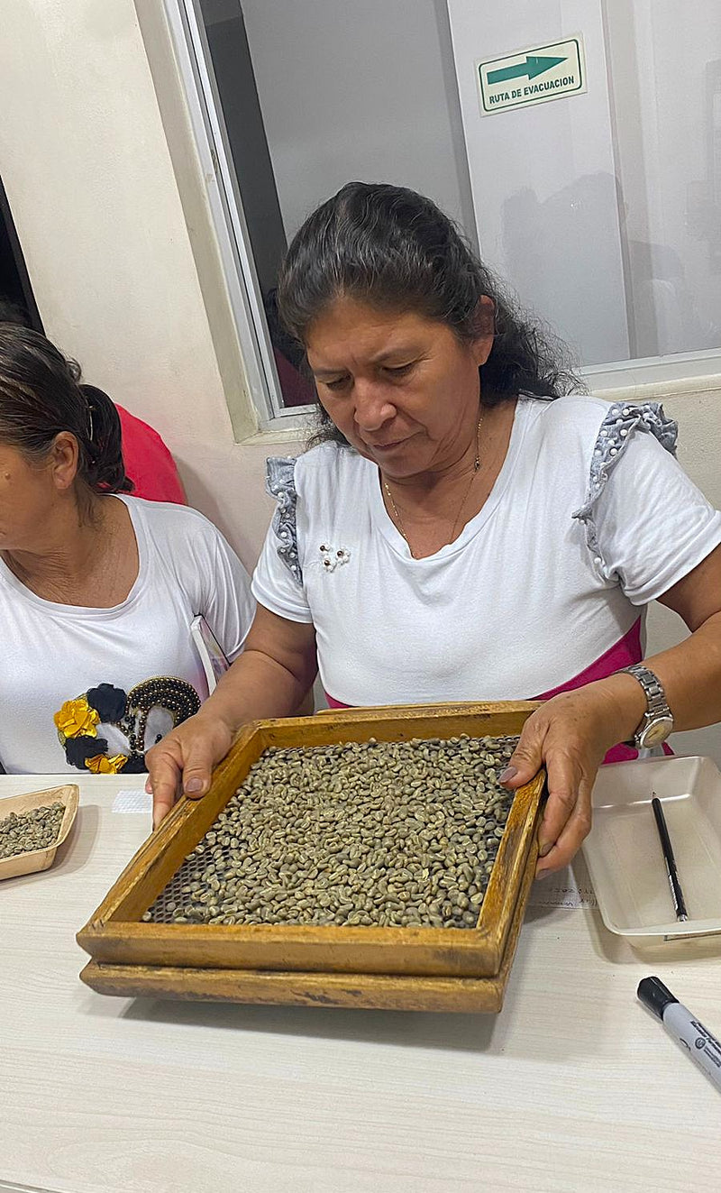 Colombia Huila Asprotimana Women's Coffee - 38836 - 69.9 kg GrainPro Bags - SPOT RCWHSE