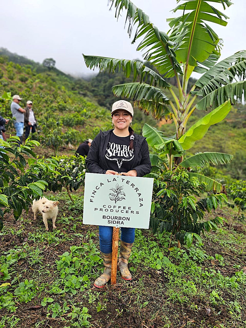 Colombia Huila Bourbon Sidra - 35996 - 70.3 kg GrainPro Bags - SPOT RCWHSE