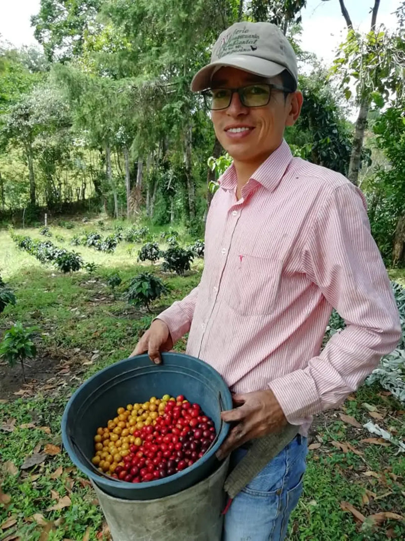 Colombia Huila Eduardo Armero Pink Bourbon - 33513 - 35.2 kg GrainPro Bags - SPOT RCWHSE