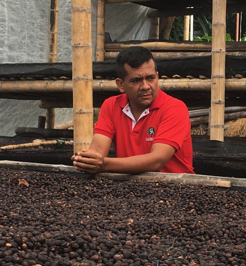 Colombia Huila El Cielo Natural Tabi - *50309* - 25882 - 70.2 kg GrainPro Bags - SPOT RCWHSE