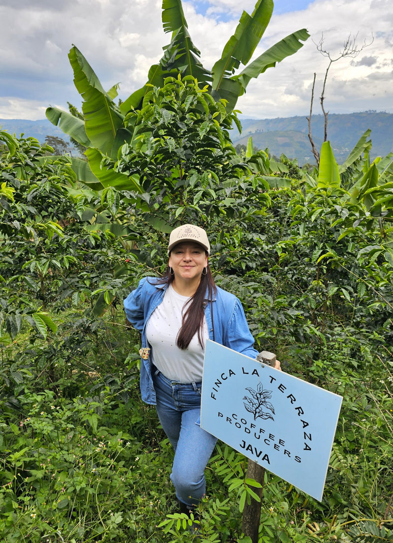 Colombia Huila Java  - 35997 - 69.8 kg GrainPro Bags - SPOT RCWHSE