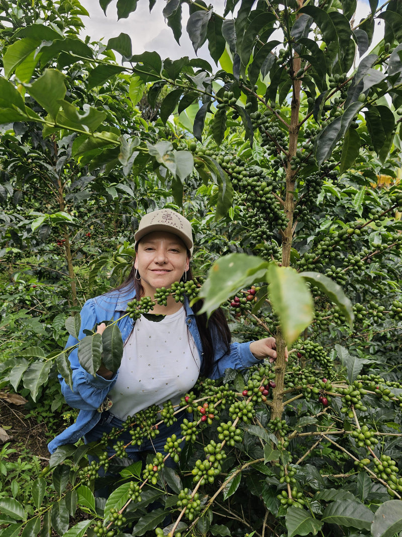 Colombia Huila Java  - 35997 - 69.8 kg GrainPro Bags - SPOT RCWHSE