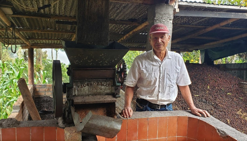 Colombia Huila Palestina La Argentina Tabi - *50480* - 25076 - 70.1 kg GrainPro Bags - SPOT RCWHSE
