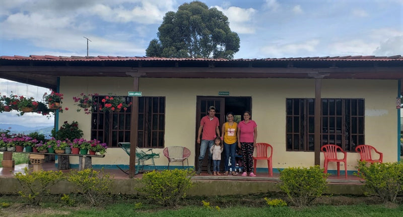 Colombia Huila Palestina La Argentina Tabi - *49559* - 25075 - 70.4 kg GrainPro Bags - SPOT RCWHSE