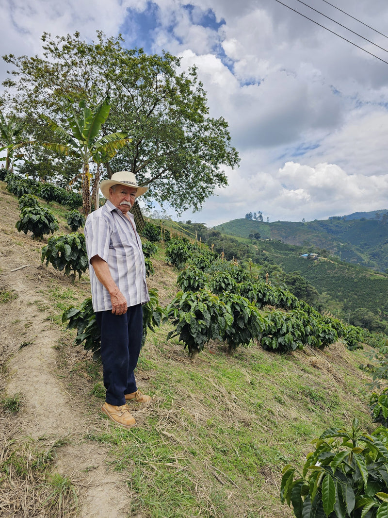 Colombia Huila La Argentina - 36007 - 69.8 kg GrainPro Bags - SPOT RCWHSE