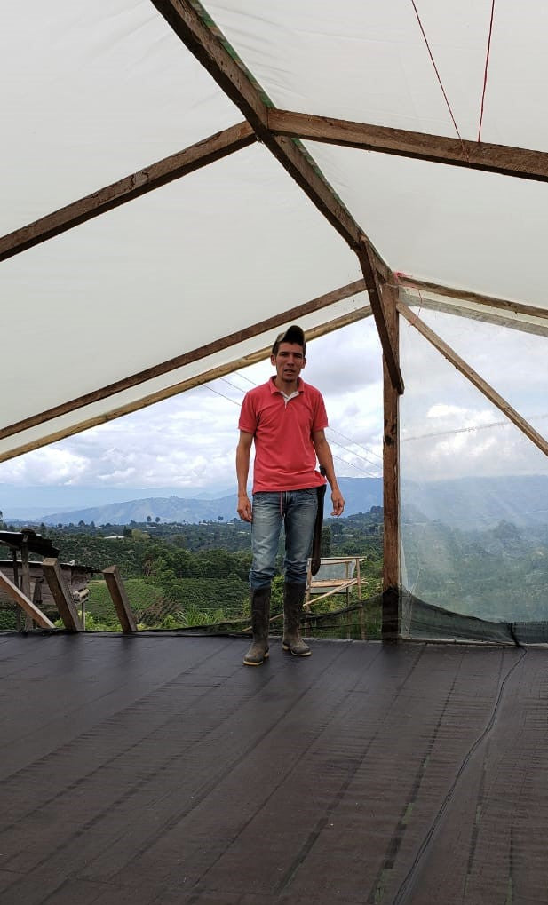 Colombia Huila Palestina La Argentina Tabi - *50480* - 25076 - 70.1 kg GrainPro Bags - SPOT RCWHSE