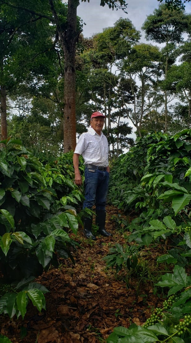 Colombia Huila Palestina La Argentina Tabi - *49559* - 25075 - 70.4 kg GrainPro Bags - SPOT RCWHSE
