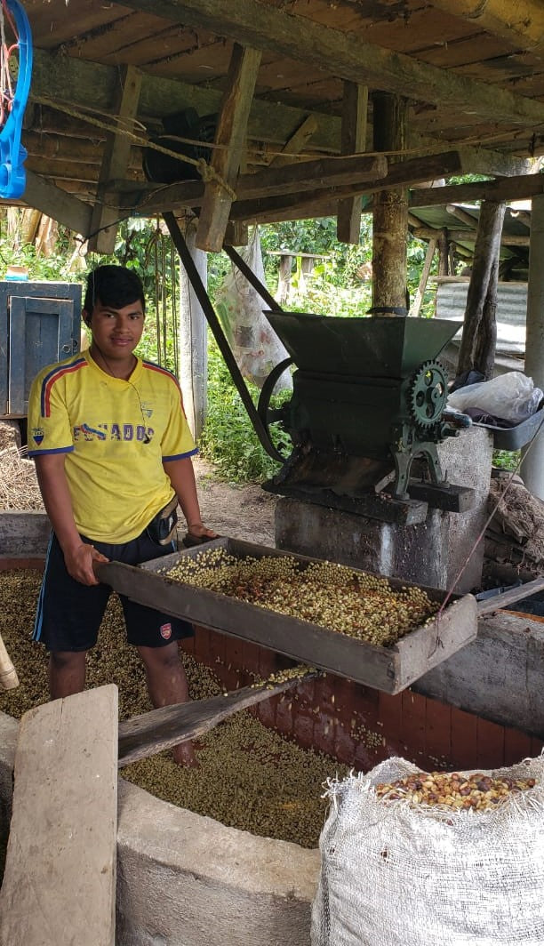 Colombia Huila Palestina La Argentina Tabi - *50480* - 25076 - 70.1 kg GrainPro Bags - SPOT RCWHSE