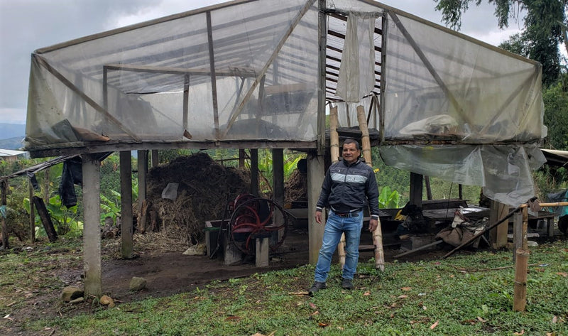 Colombia Huila Milagros Gesha - *50485* - 25071 - GrainPro Bags - SPOT RCWHSE