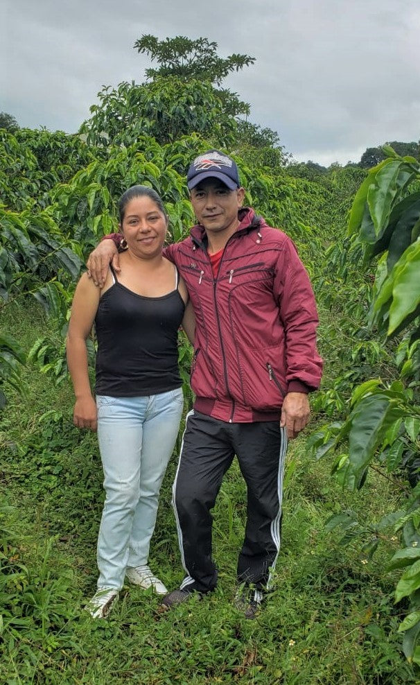 Colombia Huila Mistico Long Fermentation - *50482-2* - 25074 - GrainPro Bags - SPOT RCWHSE